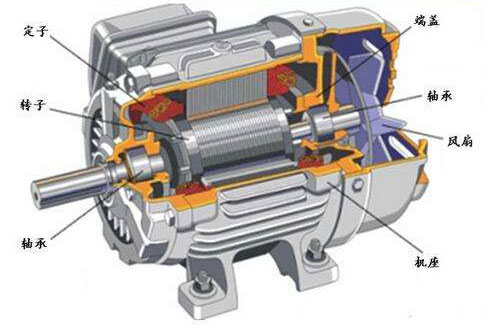 交流電機(jī)結(jié)構(gòu)圖