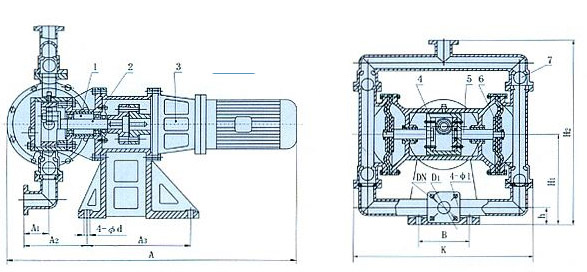 電動(dòng)隔膜泵的結(jié)構(gòu)圖片